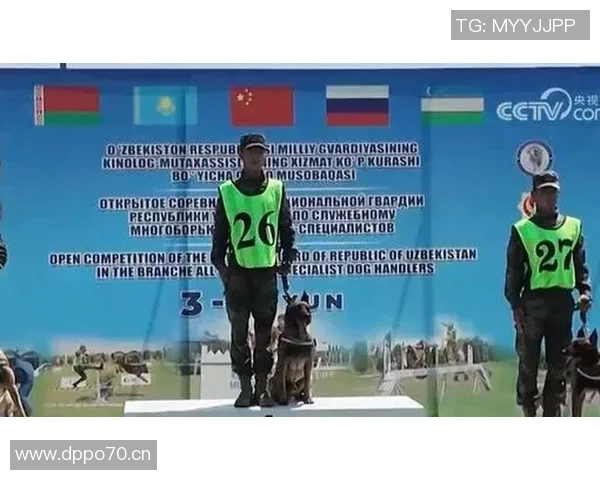 成都排球队中路突破革新带来的战术变革与未来展望